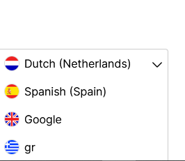 Language switcher result